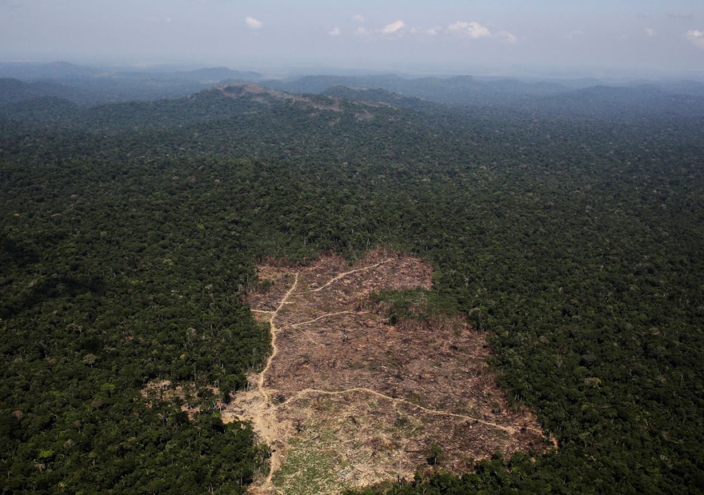 An aerial view of a tract of Amazon jungle recently cleared by loggers and farmers near the city of Novo Progresso, Brazil September 22, 2013. Picture taken September 22, 2013. REUTERS/Nacho Doce/File Photo