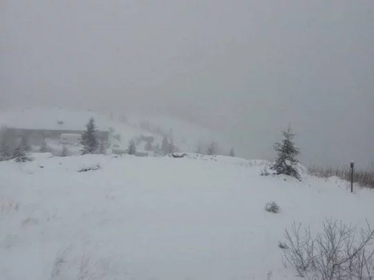 Карпати замело снігом: погода почала погіршуватися